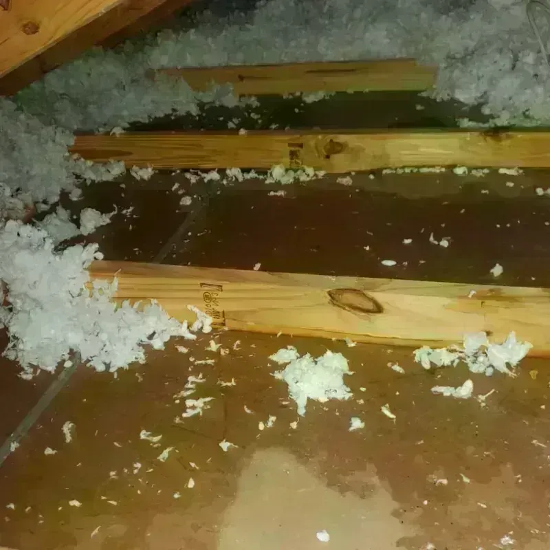 Attic Water Damage in Hampden, MA